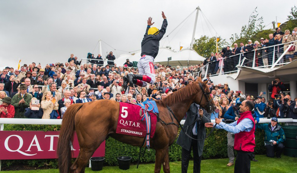 Qatar horse race